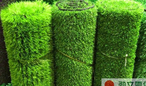NG体育- 奥格斯堡启用全新草皮技术，获联盟好评  